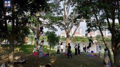 “爬树”也能修学分？这所高校的“攀树课”一